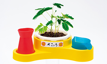 Educational toy "Your Very Own Mimosa Plant"