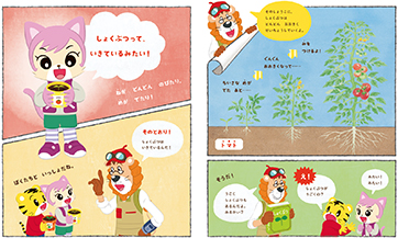 From the June issue of "Think and Discover Picture Book"